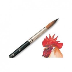 Kolinsky S 8404 taille 1