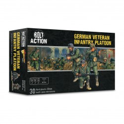 German Veteran Infantry...
