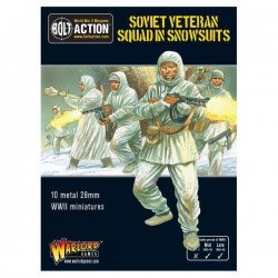 Soviet Veteran Squad In...