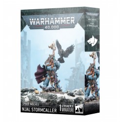 Njall Stormcaller