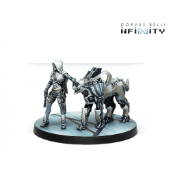 Andromeda, Sophistes of the...