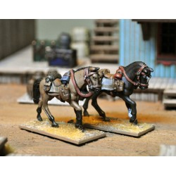 Chevaux Sans Cavaliers