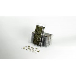 Laser Plants - Dumb Cane