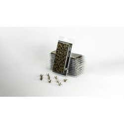 Laser Plants - Agave