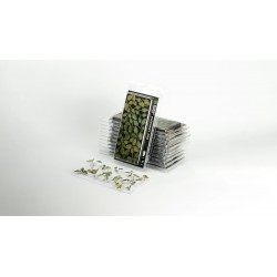 Laser Plants - Elephant Ear