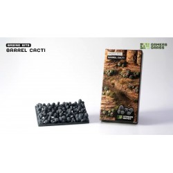 Basing Bits - Barrel Cacti