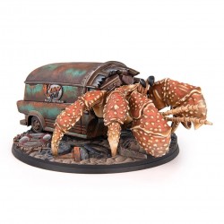 Hermit Crab