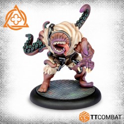 The Aberration (Anglais)