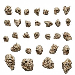 Crânes d'aliens 1:48