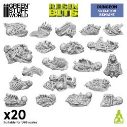 Skeleton Remains 1:48