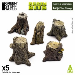 Large Tree Stumps