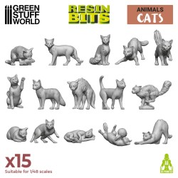 Cats 1:48