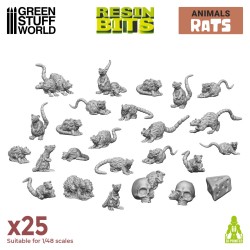 Small Rats 1:48-1:35