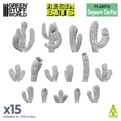 Saguaro Cactus 1:48-1:35