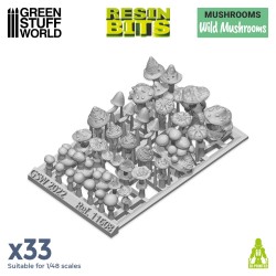 Wild Mushrooms 1:48-1:35