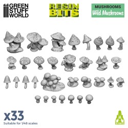 Champignons sauvages 1:48-1:35