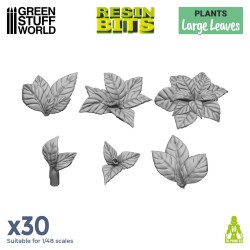 Feuilles longues 1:48-1:35