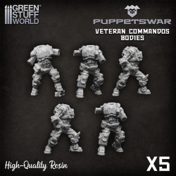 Corps Commando des Vétérans