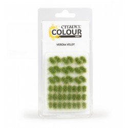 Touffes d’herbes Verdia Veldt