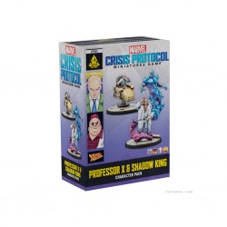 Professor X & Shadow King