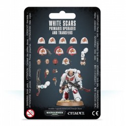 White Scars Primaris...