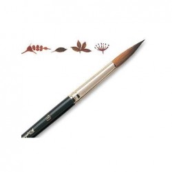 Kolinsky S 8402 taille 00...