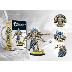 Spires: Assault Preceptor...
